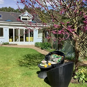 Apartment Ladang, St Ives (Dorset)